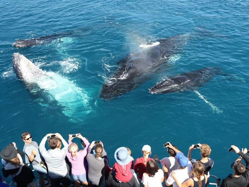 Mirissa & Whale Watching — Sri Lanka