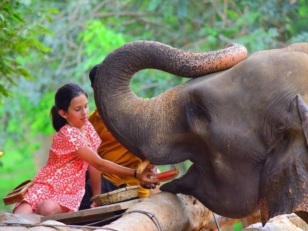 Pinnawala & Kegalle Elephants — Sri Lanka