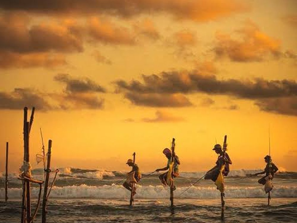 Weligama & South Coast Beaches — Sri Lanka