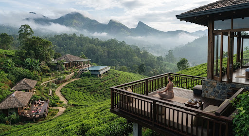 A secluded luxury wellness sanctuary nestled amidst lush emerald green Ceylon tea hills in Ella Sri Lanka, featuring mist-covered mountain peaks and p
