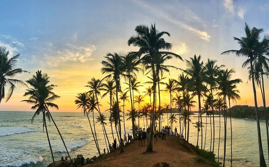 Mirissa & Whale Watching — Sri Lanka