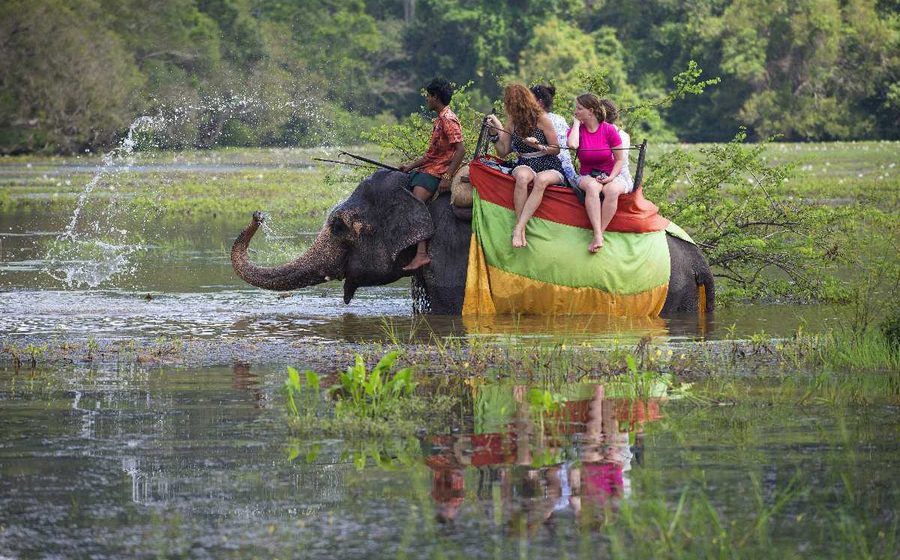Udawalawe National Park — Sri Lanka