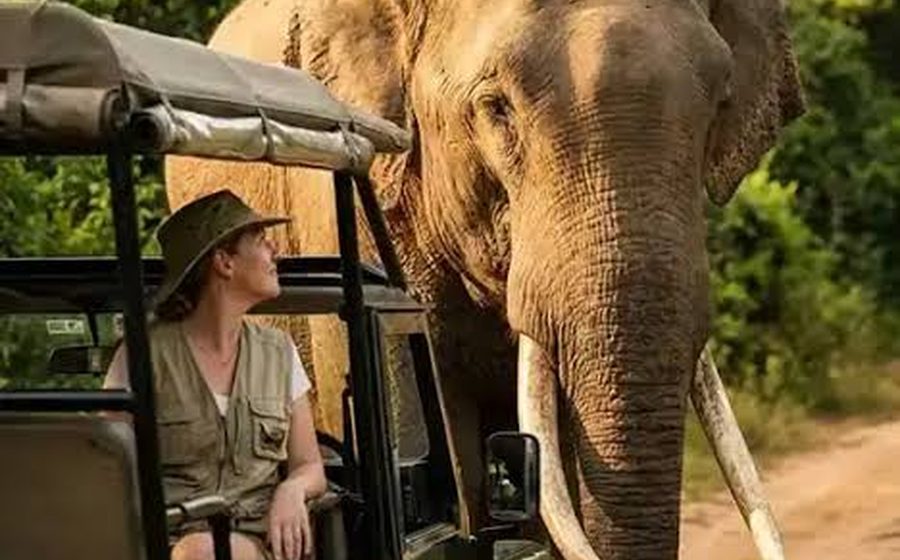 Yala National Park — Sri Lanka
